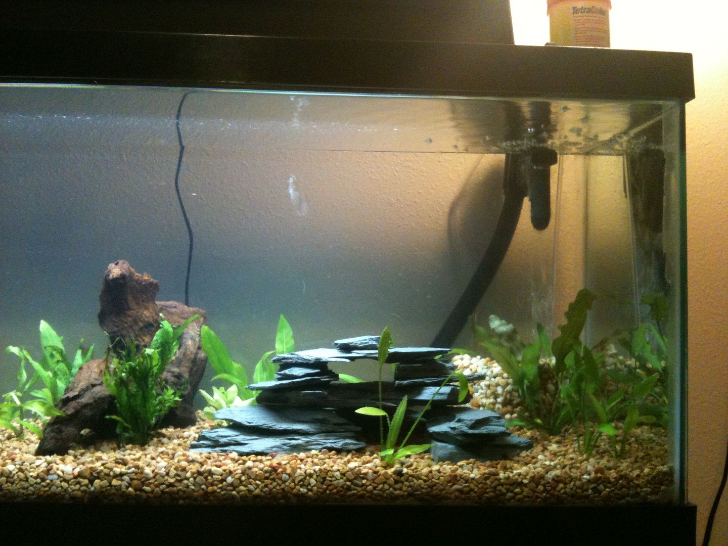 DIY Refuge Caves - Ideas? - Page 2 - Aquarium Forum